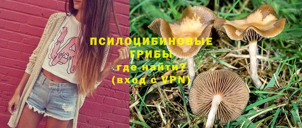 бошки Беломорск