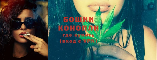 молекула духа Белокуриха
