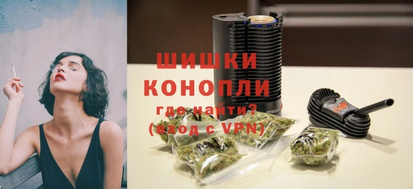молекула духа Белокуриха